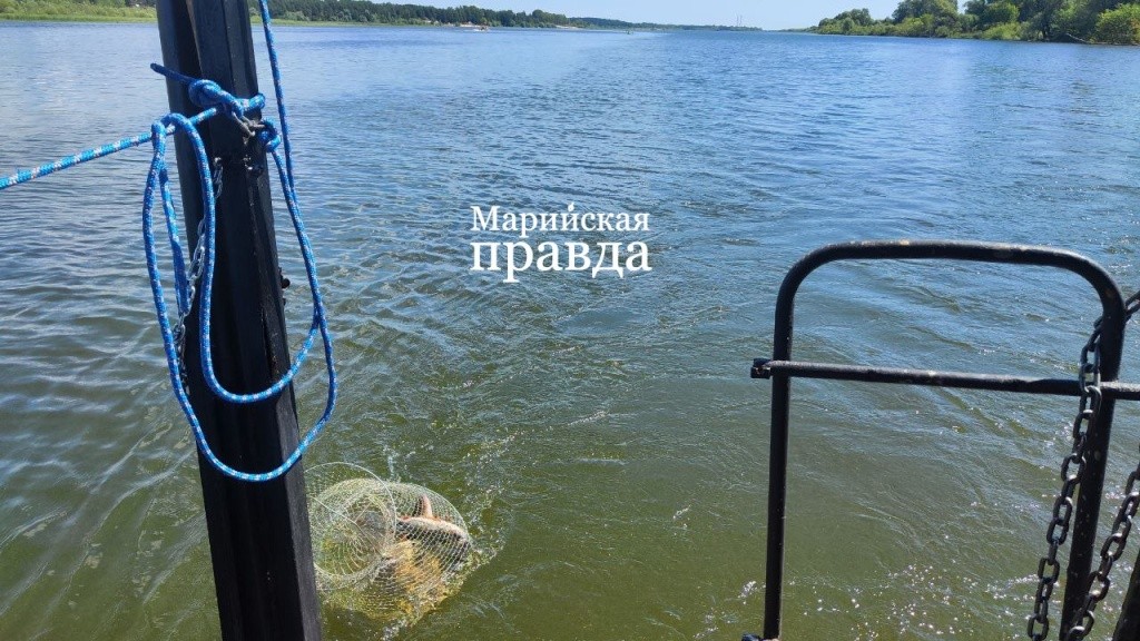 photo_2024-08-07_10-12-26 (1).jpg