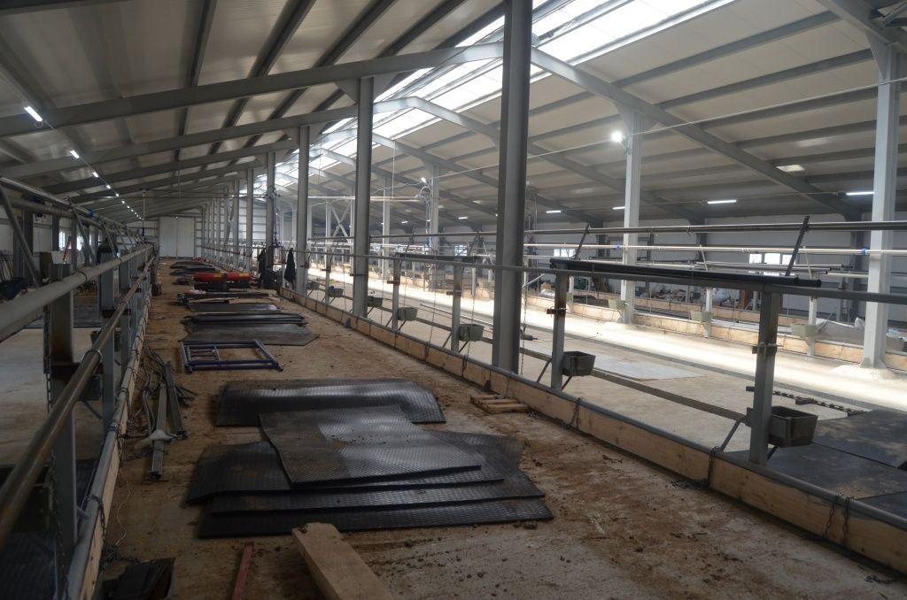 Так по современному ферма выглядит изнутри, а резиновые коврики это подстилка для коров.JPG