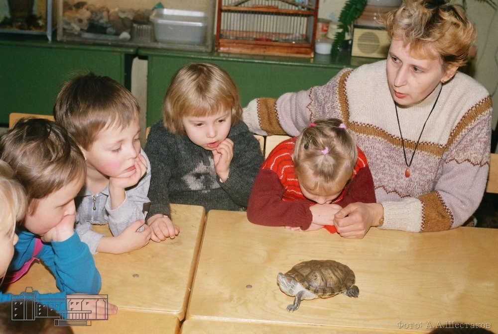 Елена Козлова