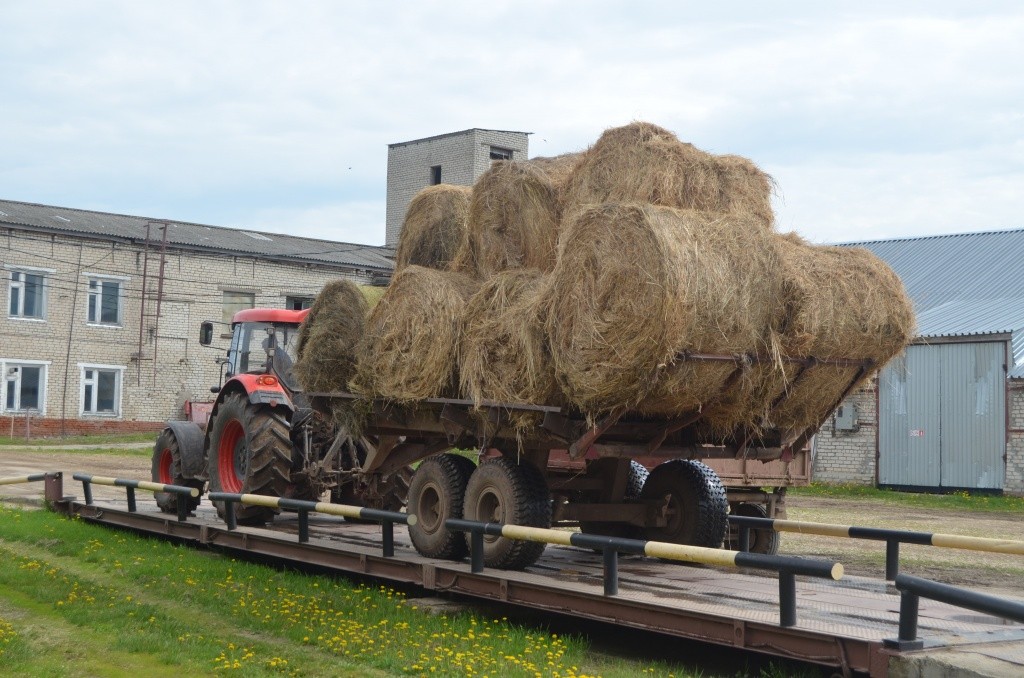 Прибыла очередная партия сена. Прибыла очередная партия сена.jpg