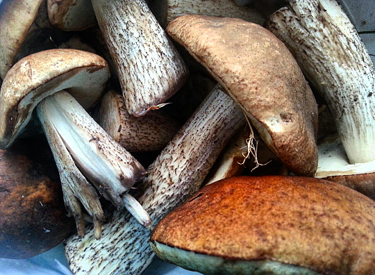 13:00 Самая вкусная еда та, которую приготовила мама)