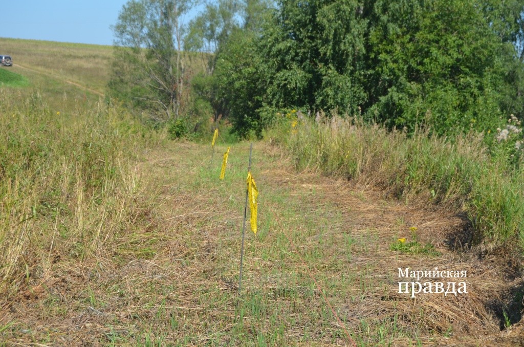 Выгульная площадка по периметру огорожена проводами с пропущенным электротоком..jpg