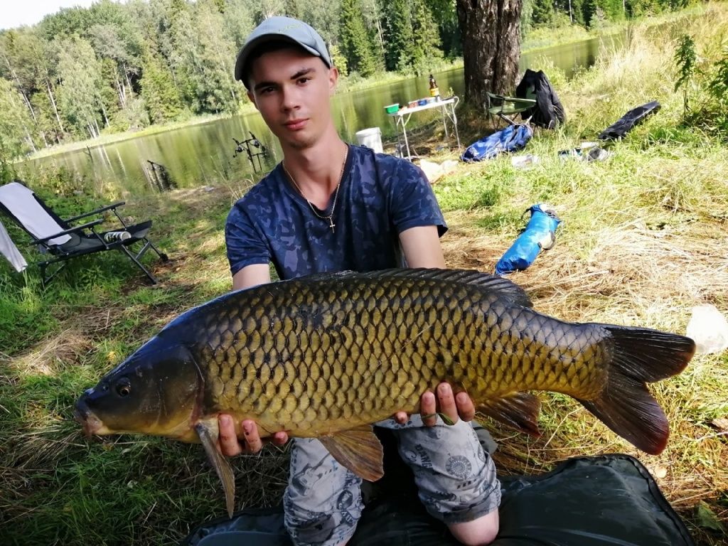 Отличного карпа вывел Лев Сабурин