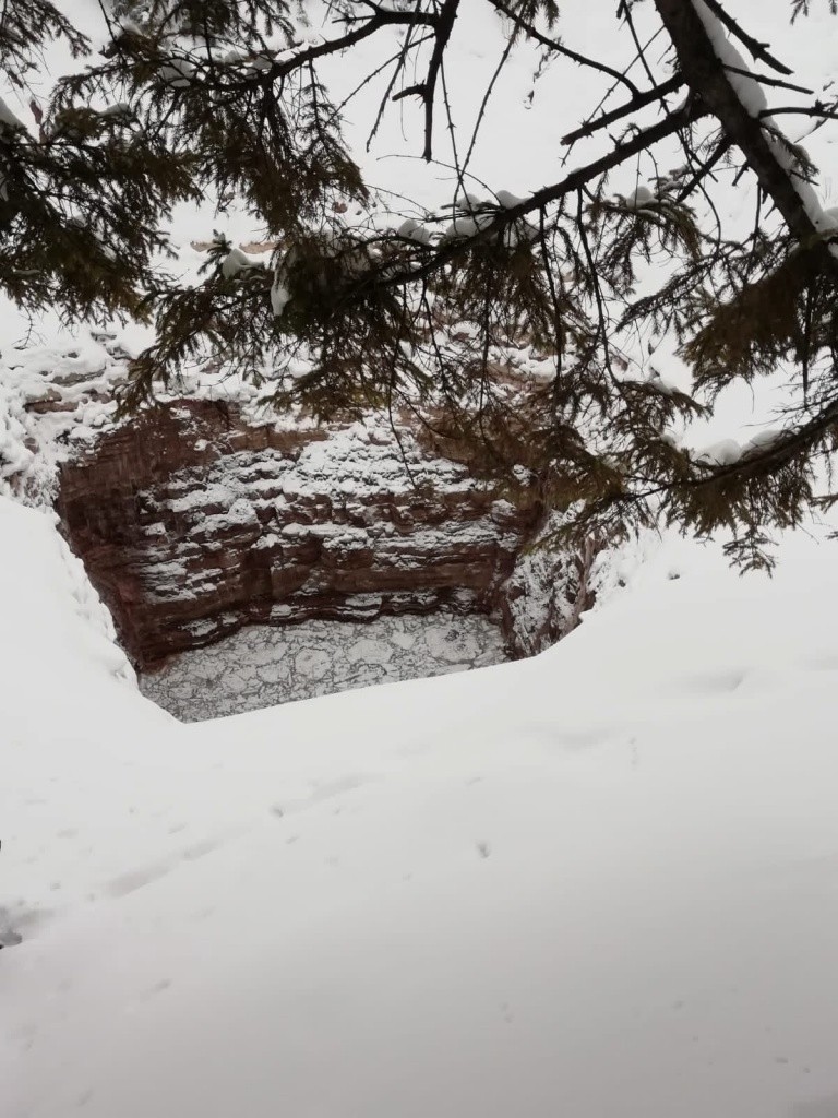 Фото предоставлено Мариной Тимофеевой.jpg Фото предоставлено Мариной Тимофеевой.jpg