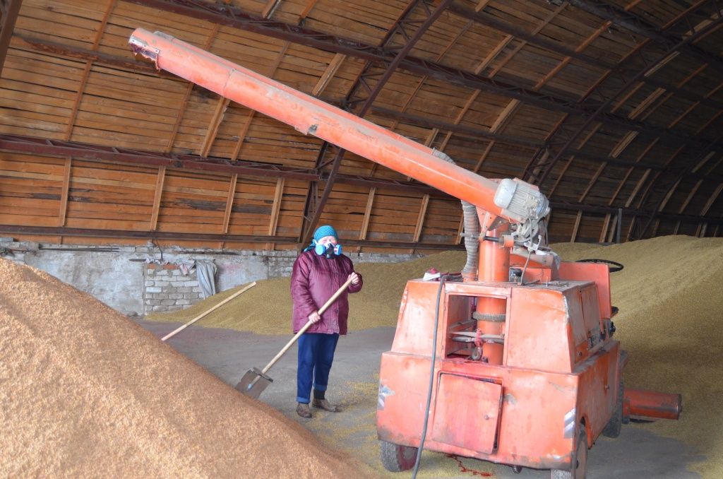 Посевной материал проходит химическую обработку.jpg