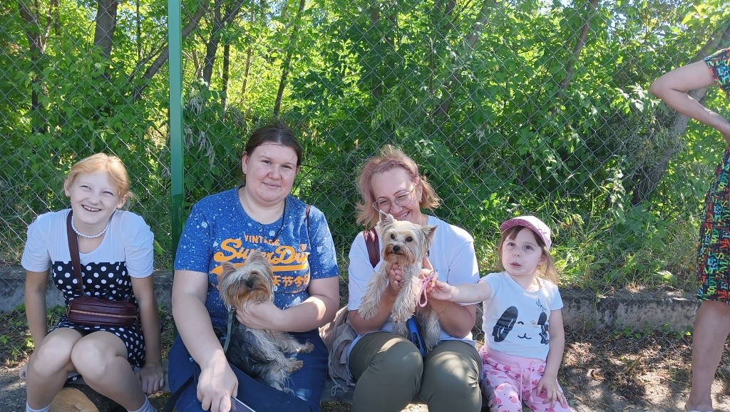 День Фронтовой собаки.