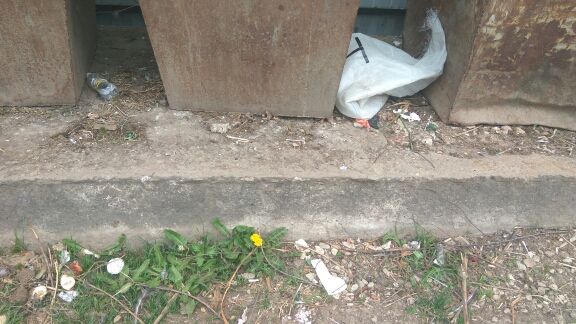 Контейнерная площадка IMG_20180523_093040.jpg