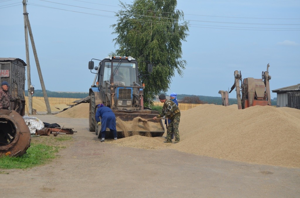 В горячее время работы на току хватит всем.JPG