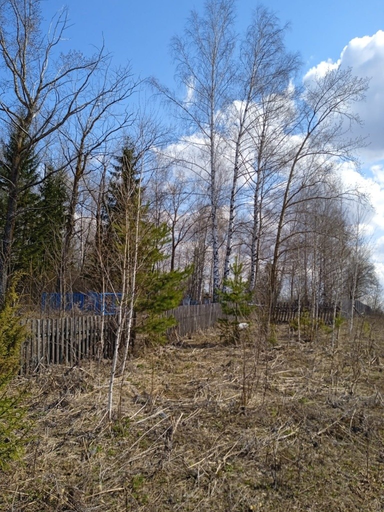 Кладбище с. Пектубаево.jpg