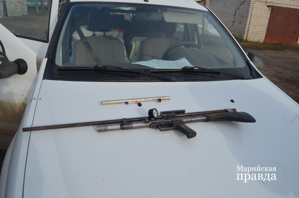 Выстрелом ампулой из такого ружья можно на время усыпить собаку..jpg