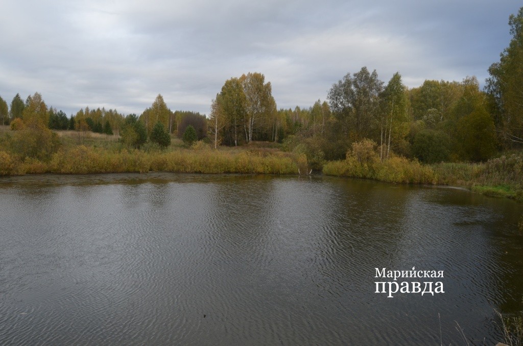 Нурсолинцы вместе с администрацией сельского поселения хотят обустроить этот пруд и создать тут зону отдыха1.jpg