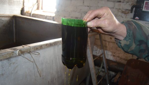 Так выглядит рапсовое масло.jpg