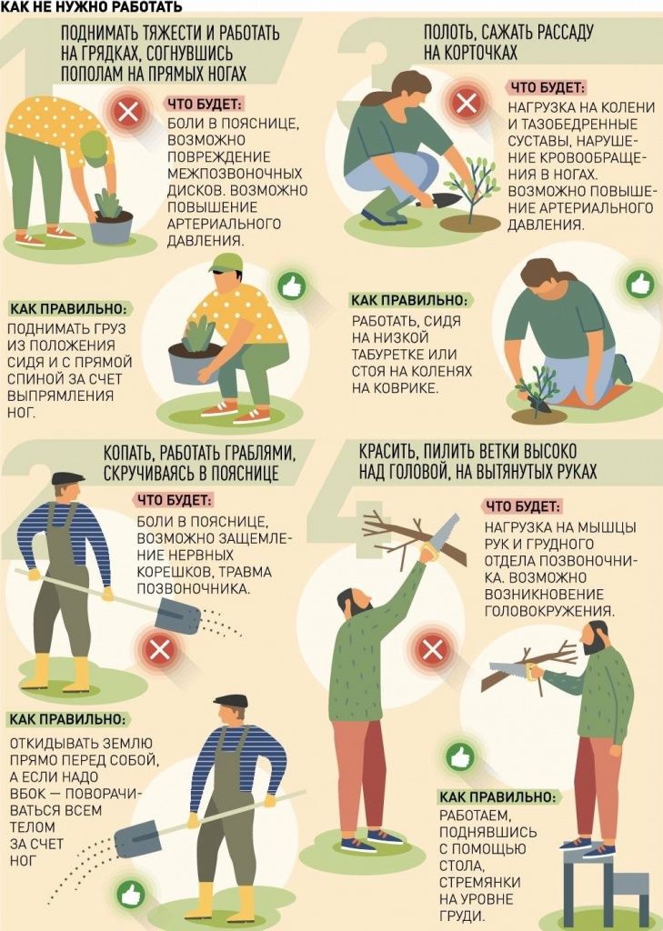 РГ - инфографика.jpg