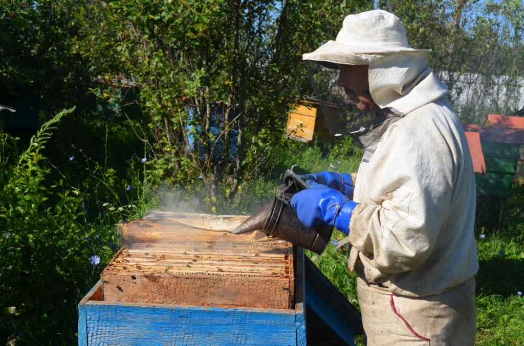 Первым делом пчеловод окуривает своих боевых работниц из дымаря, чтобы немножечко их успокоить.JPG