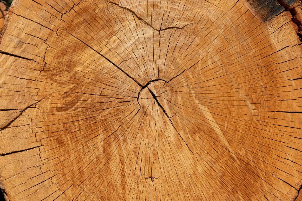 Фото Валерия Кузьминых