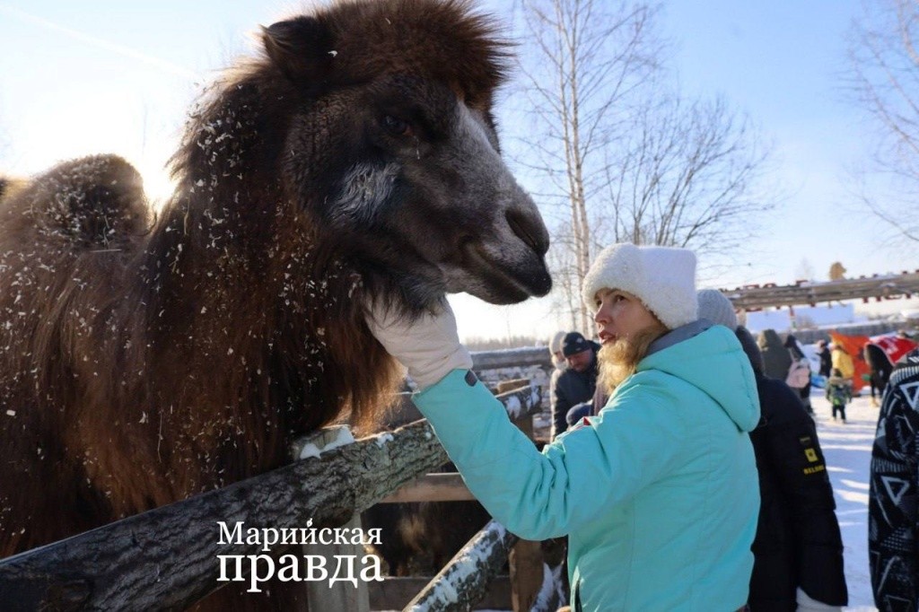 photo_2024-02-12_14-07-29 (1).jpg