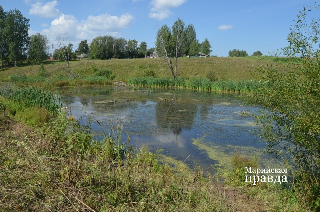 Прудик очень выручает в жару в смысле водопоя. Прудик очень выручает в жару в смысле водопоя..jpg