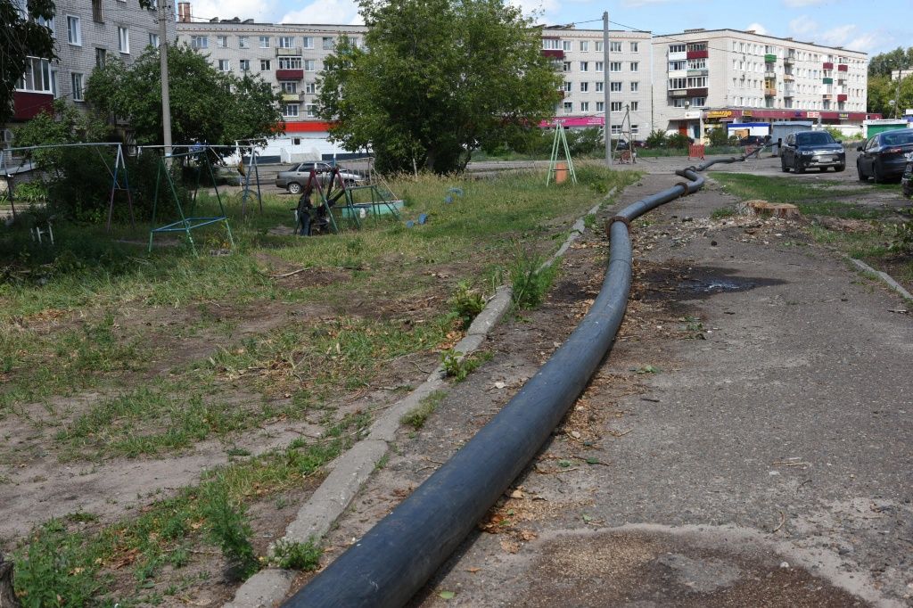 коллектор (4).JPG