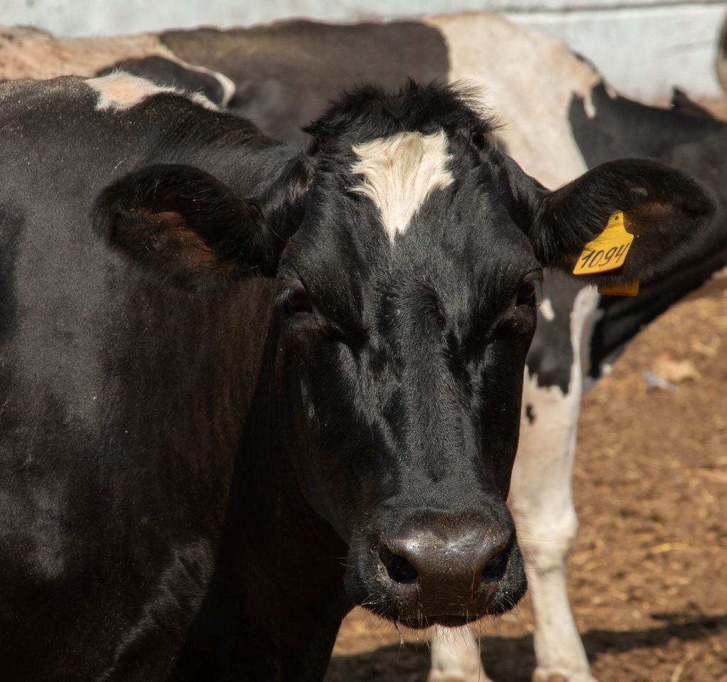 Фото Валерия Кузьминых.