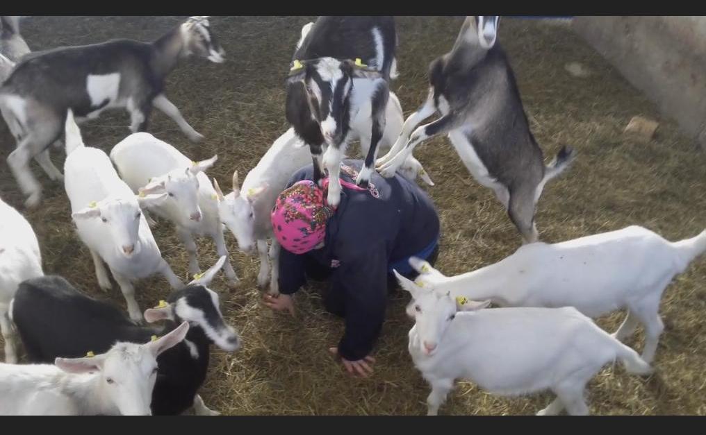 Кадр из видео .JPG