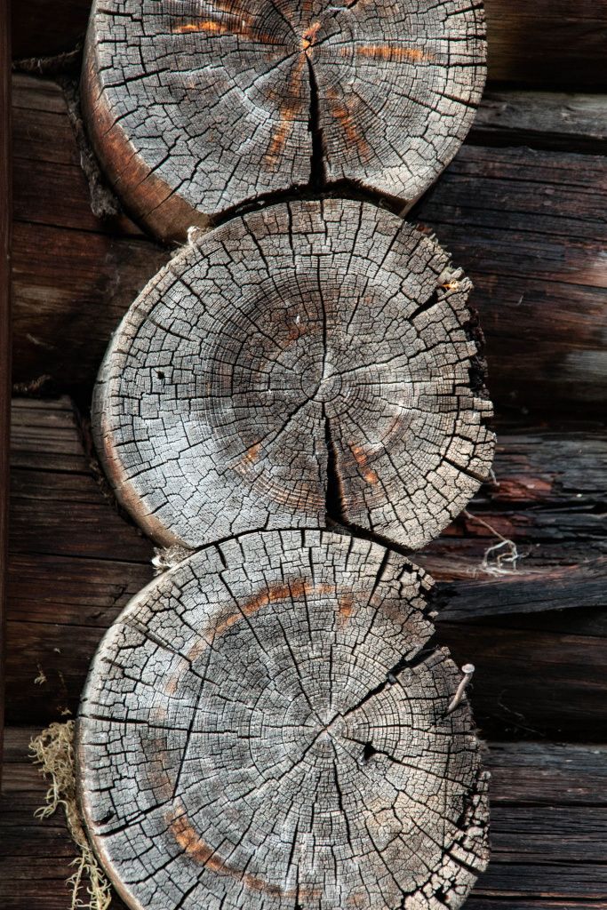 Венцы бревен почернели, как мореный дуб