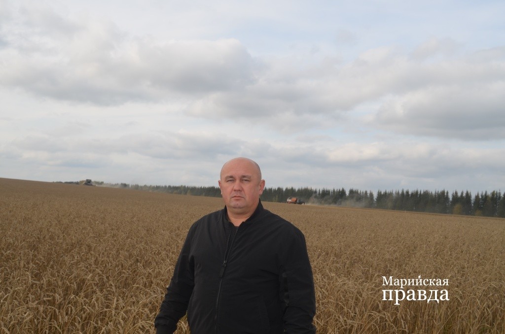 Заместитель председателя колхоза Искра Александр Поликарпов урожайность хорошая, а вот закупочные цены оставляют желать лучшего1.jpg