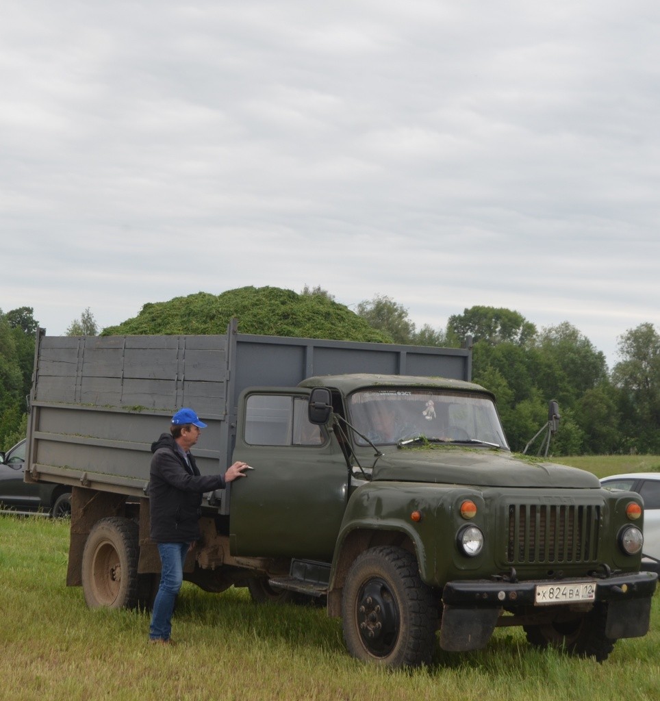 Первая машина измельченной зеленки.JPG