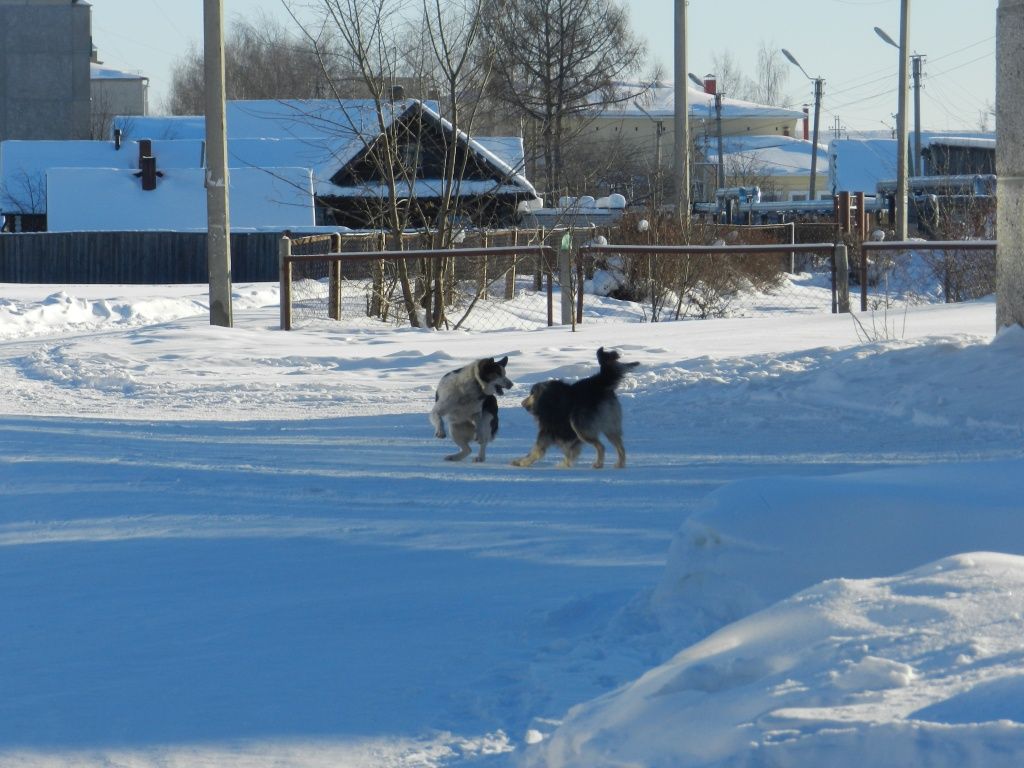 поселок Советский 