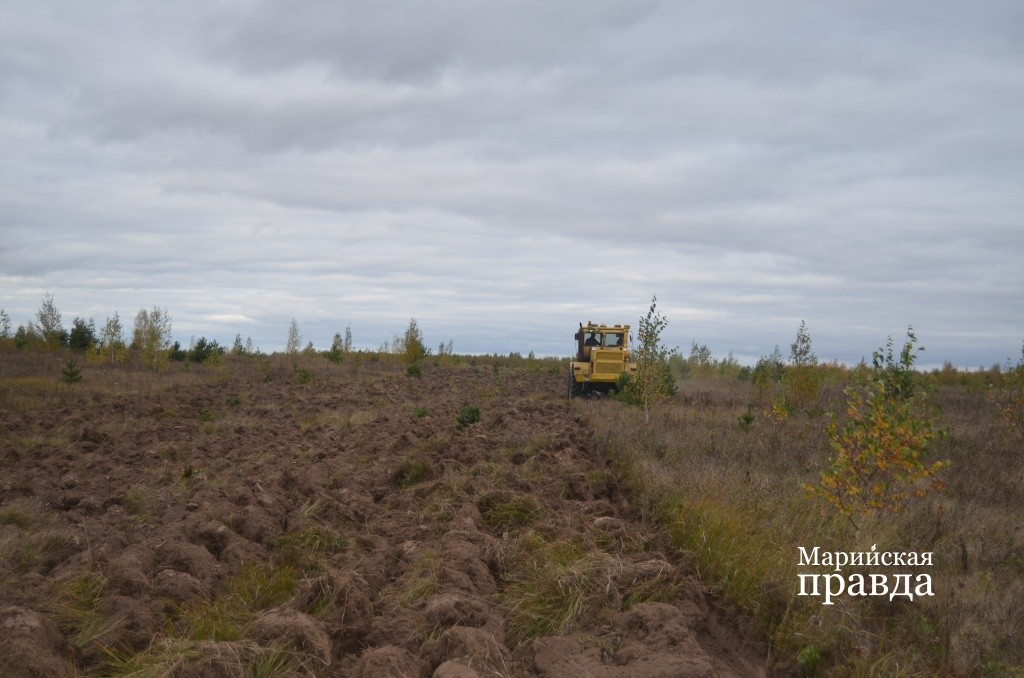 Первая вспашка после многолетнего простоя это всегда глыбы земли, которые потом придется старательно разрабатывать..jpg