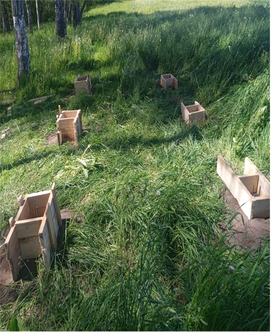 Без имени 3.png