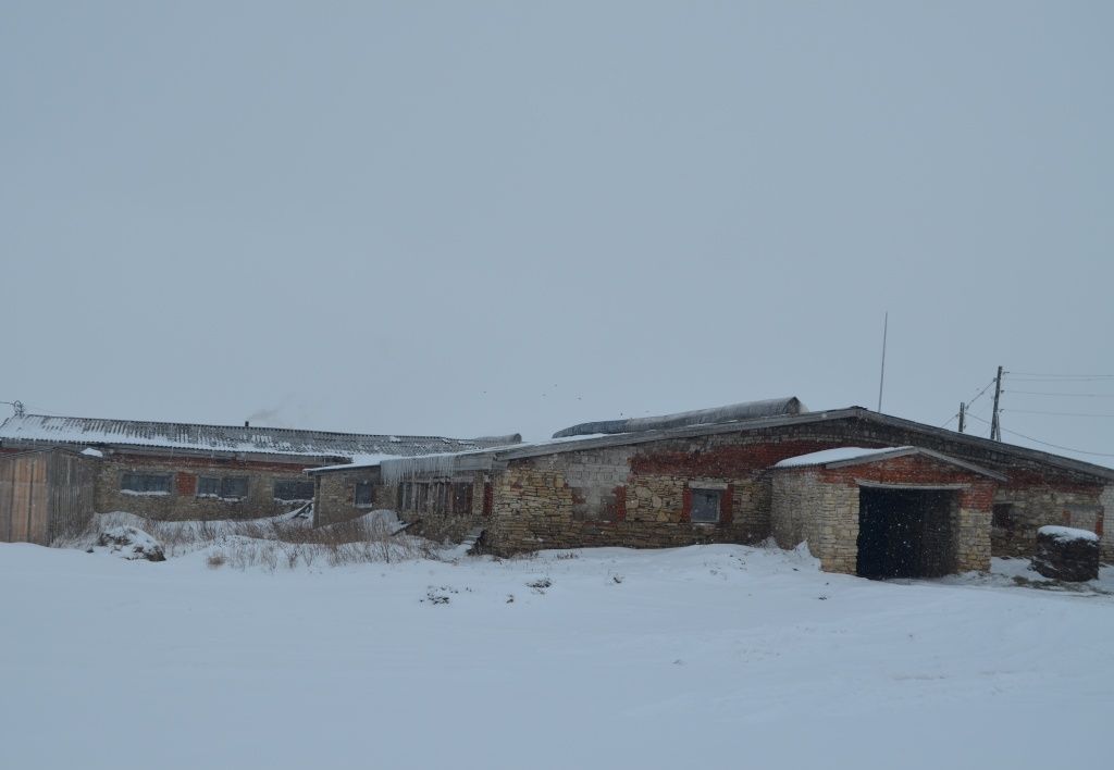 На старушку без слез не взглянешь.JPG