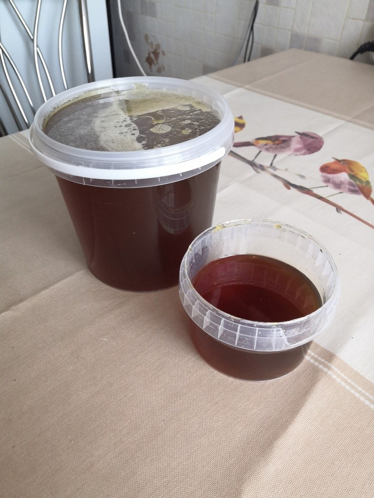 Кошпаевым удалось получить даже гречишный мед - спасибо фермерам, которые неподалеку сеют гречиху.jpg