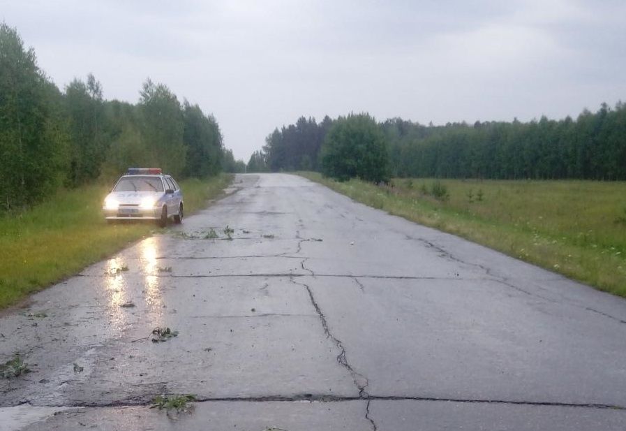 трасса.jpg