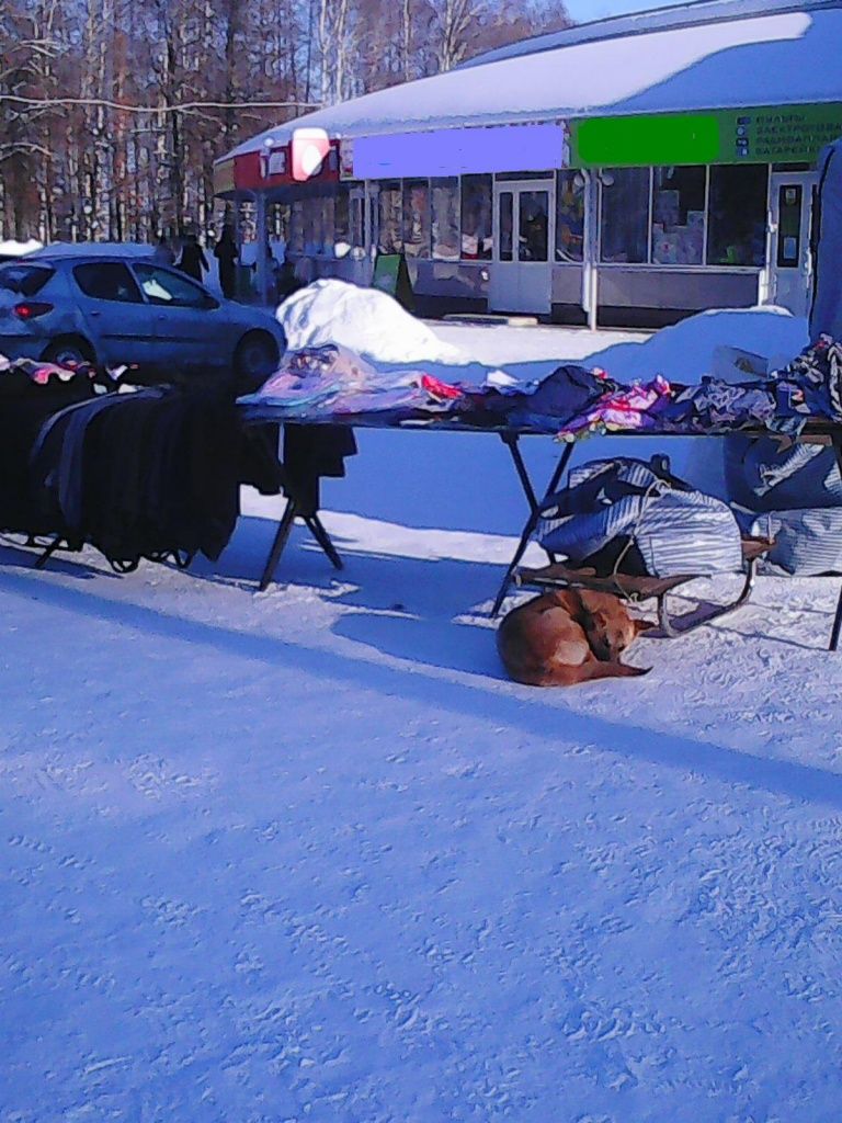 Поселок Советский 
