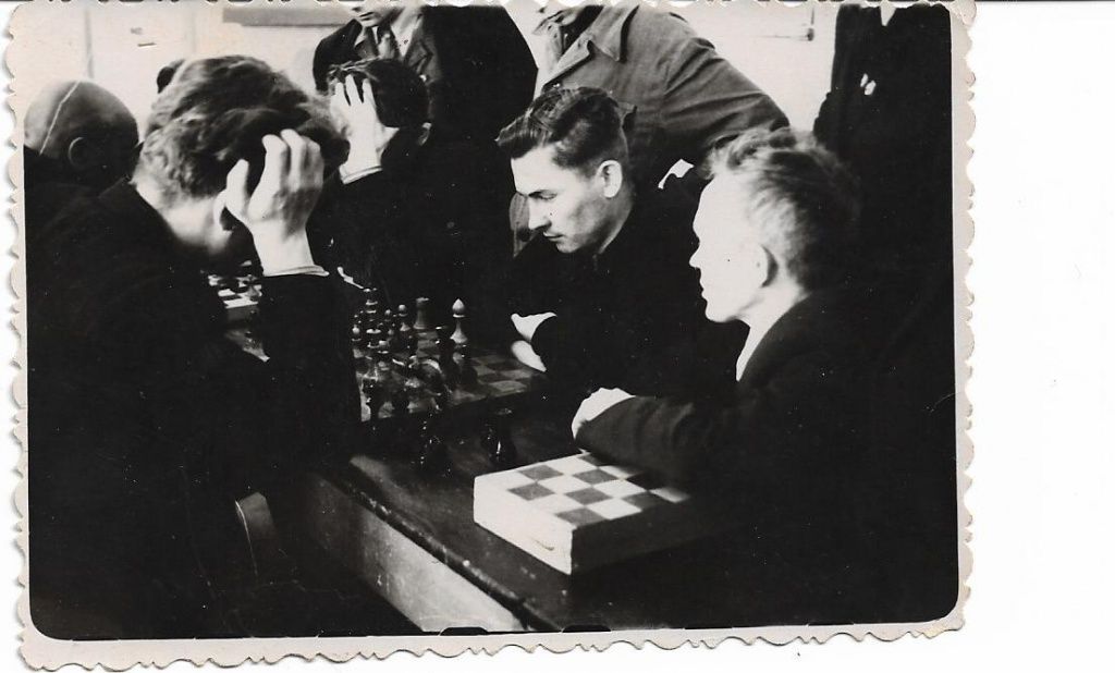 Шахматы Шахматы