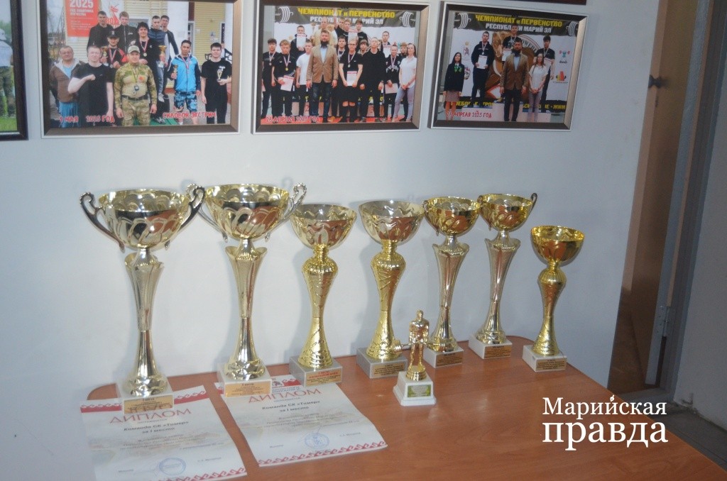 Кубки, завоеванные командой юных силачей спортклуба Тимер1.jpg