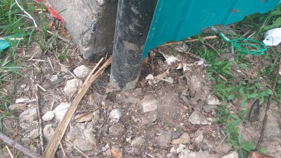 Контейнерная площадка IMG_20180523_093151.jpg