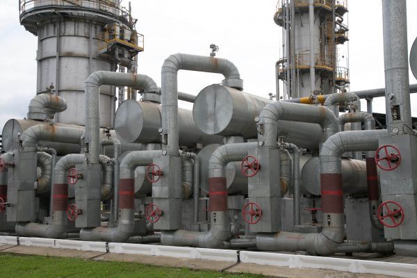 Фото Дениса Речкина