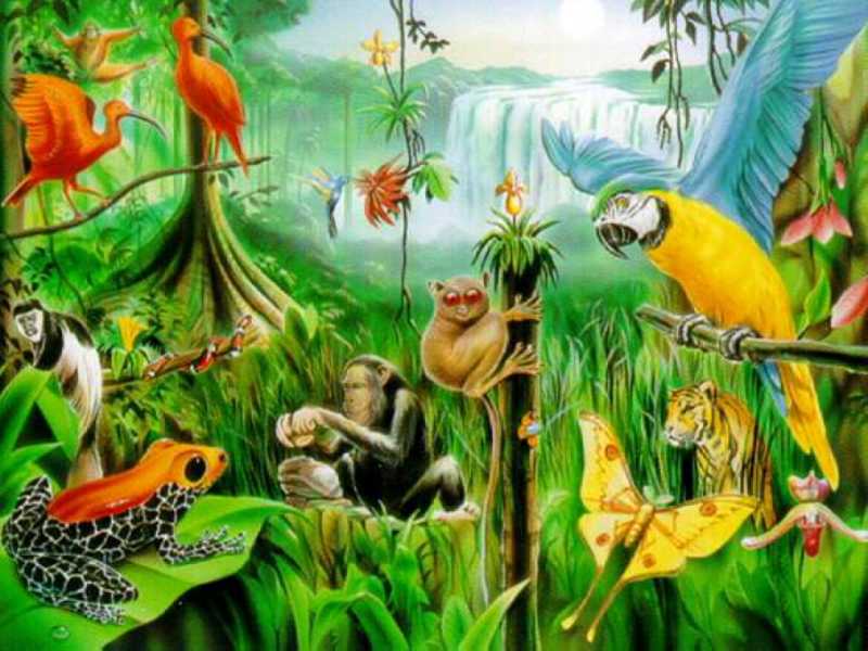 Мадагаскар