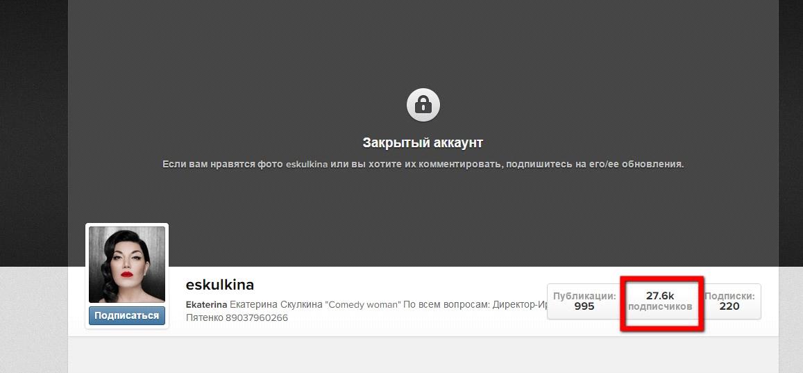 Скулкина