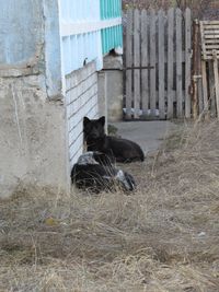 IMG_0205 IMG_0205
