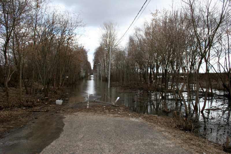 Аллею здоровья затопило