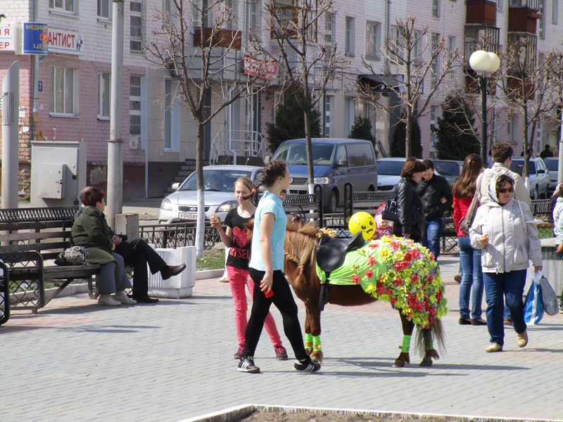Наряжена даже пони