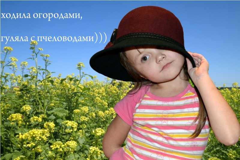 Ходилла огородами