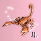 scorp08 scorp08