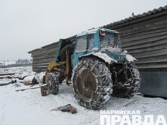 Такие кони бездорожья не боятся.