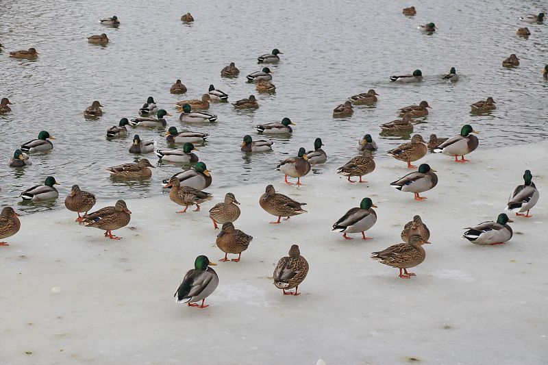 000000000000000 (2).JPG