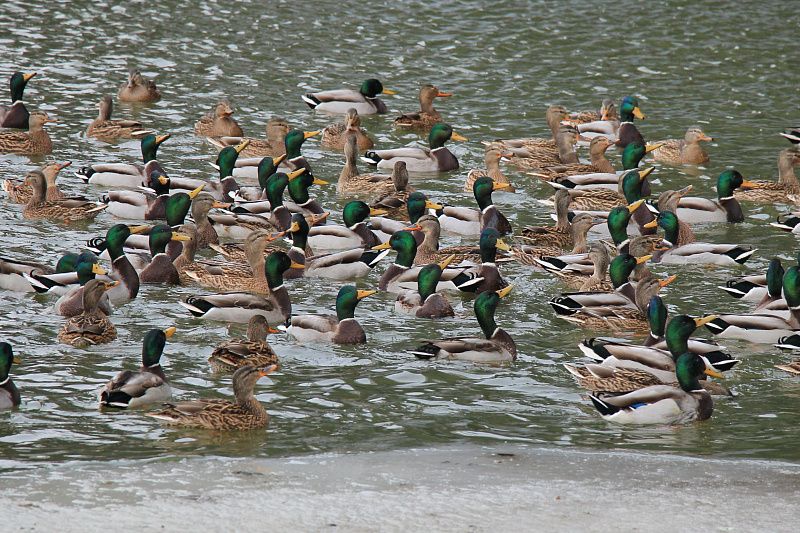 000000000000000 (3).JPG