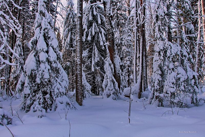 яяяяяяяяяяяяяяяяяяяяяяяяяяяяяяяяяяяя (6).JPG