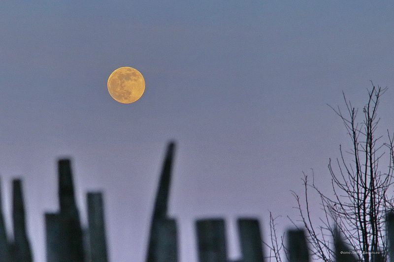 яяяяяяяяяяяяяяя (1).JPG